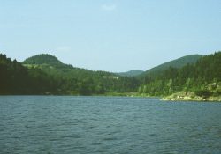 (Fotografie bez názvu)