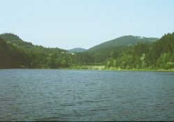 (Fotografie bez názvu)