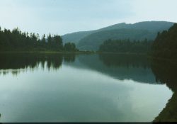 (Fotografie bez názvu)