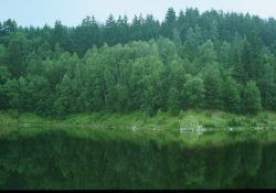 (Fotografie bez názvu)