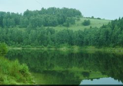 (Fotografie bez názvu)