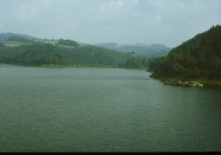 (Fotografie bez názvu)