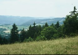 (Fotografie bez názvu)