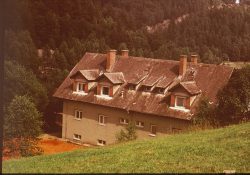 (Fotografie bez názvu)