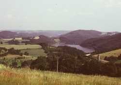 (Fotografie bez názvu)