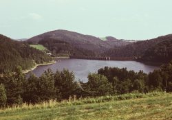 (Fotografie bez názvu)