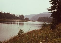 (Fotografie bez názvu)