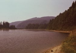 (Fotografie bez názvu)