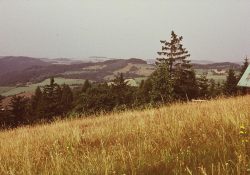 (Fotografie bez názvu)