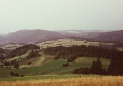 (Fotografie bez názvu)