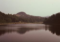 (Fotografie bez názvu)