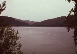 (Fotografie bez názvu)