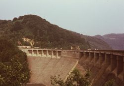 (Fotografie bez názvu)