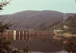 (Fotografie bez názvu)