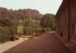 (Fotografie bez názvu)