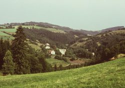 (Fotografie bez názvu)